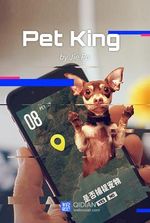 Pet King